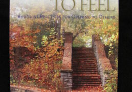 "THE COURAGE TO FEEL: Buddhist Practices for Opening to Others" by Rob Preece