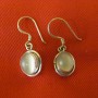 Small Stone Drop Earrings