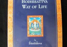 A GUIDE TO THE BODHISATTVA WAY OF LIFE by Shantideva, trans. by Vesna A. Wallace & B. Alan Wallace