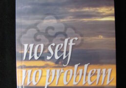 NO SELF, NO PROBLEM by Anam Thubten, edited by Sharon Roe
