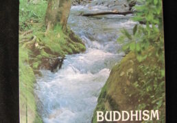 BUDDHISM FOR BEGINNERS by Thubten Chodron