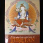 A CONCISE INTRODUCTION TO TIBETAN BUDDHISM by John Powers