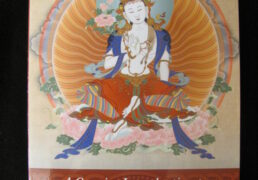 A CONCISE INTRODUCTION TO TIBETAN BUDDHISM by John Powers