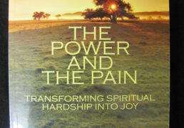 THE POWER AND THE PAIN: Transforming Spiritual Hardship into Joy by Andrew Holecek