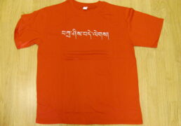 Embroidered Tashi Delegs Tee Shirt