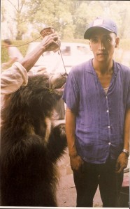 Street performing bear